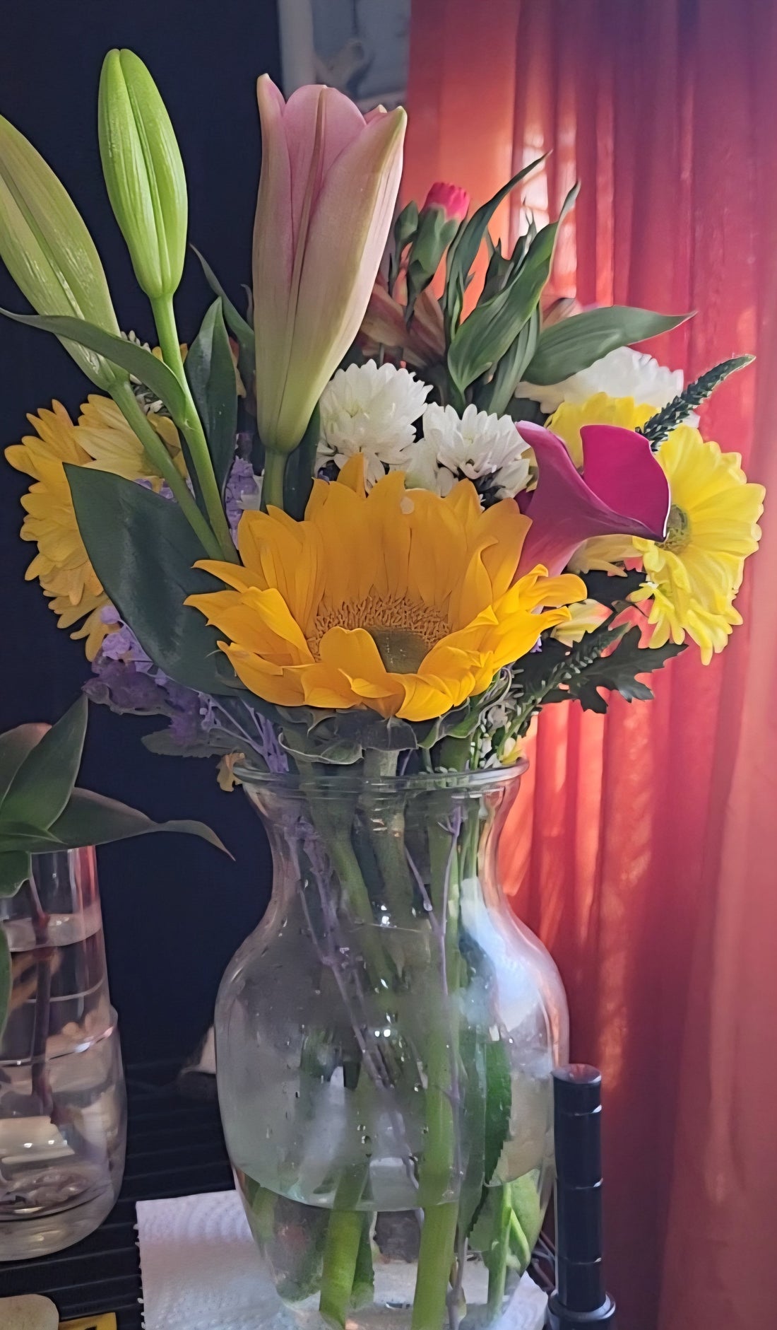 A Soft New Year: Welcoming Spring with Gratitude and Gentle Beginnings