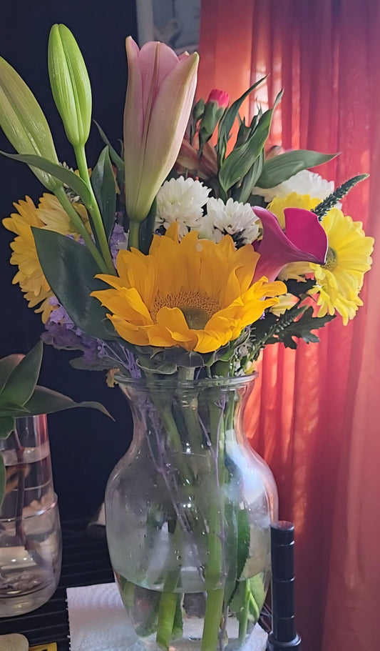 A Soft New Year: Welcoming Spring with Gratitude and Gentle Beginnings